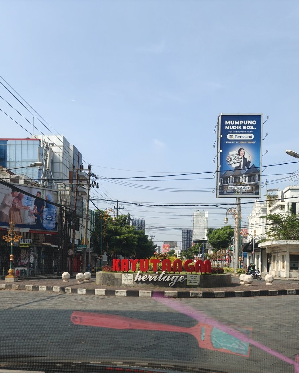 mister roar 🐻 tweet media