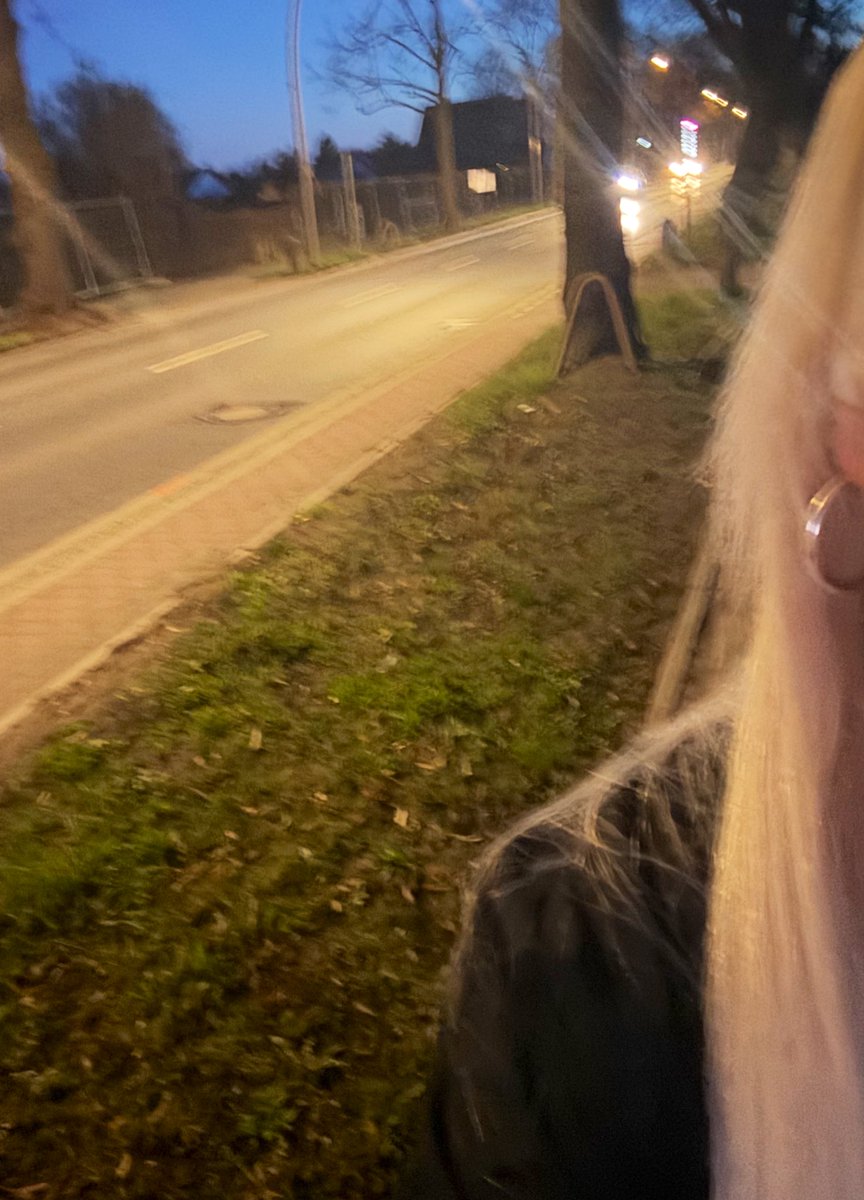 Eure Hoeheit tweet media