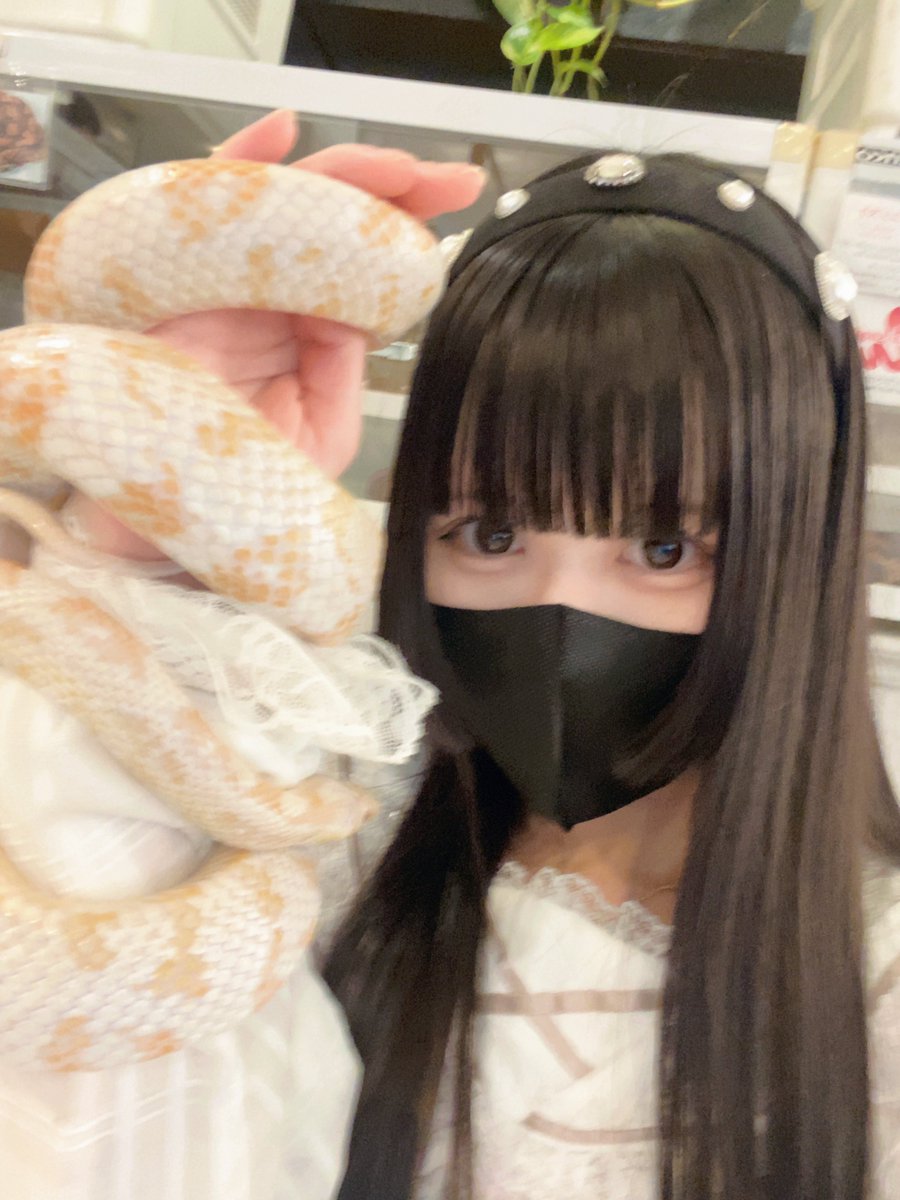 おヘビちゃまと戯れてきました🐍