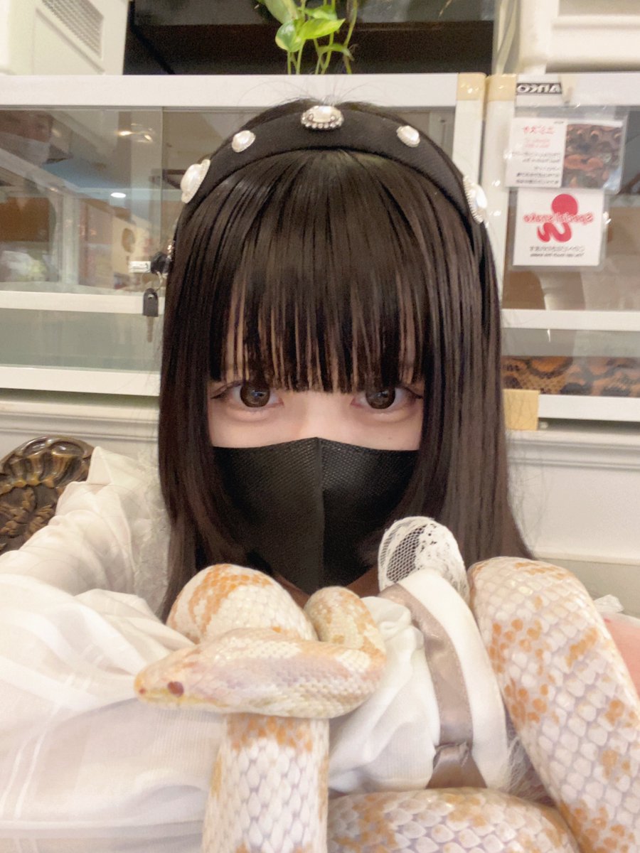 Ruichan_chu's tweet photo. おヘビちゃまと戯れてきました🐍 https://t.co/gzxvT0NxKx