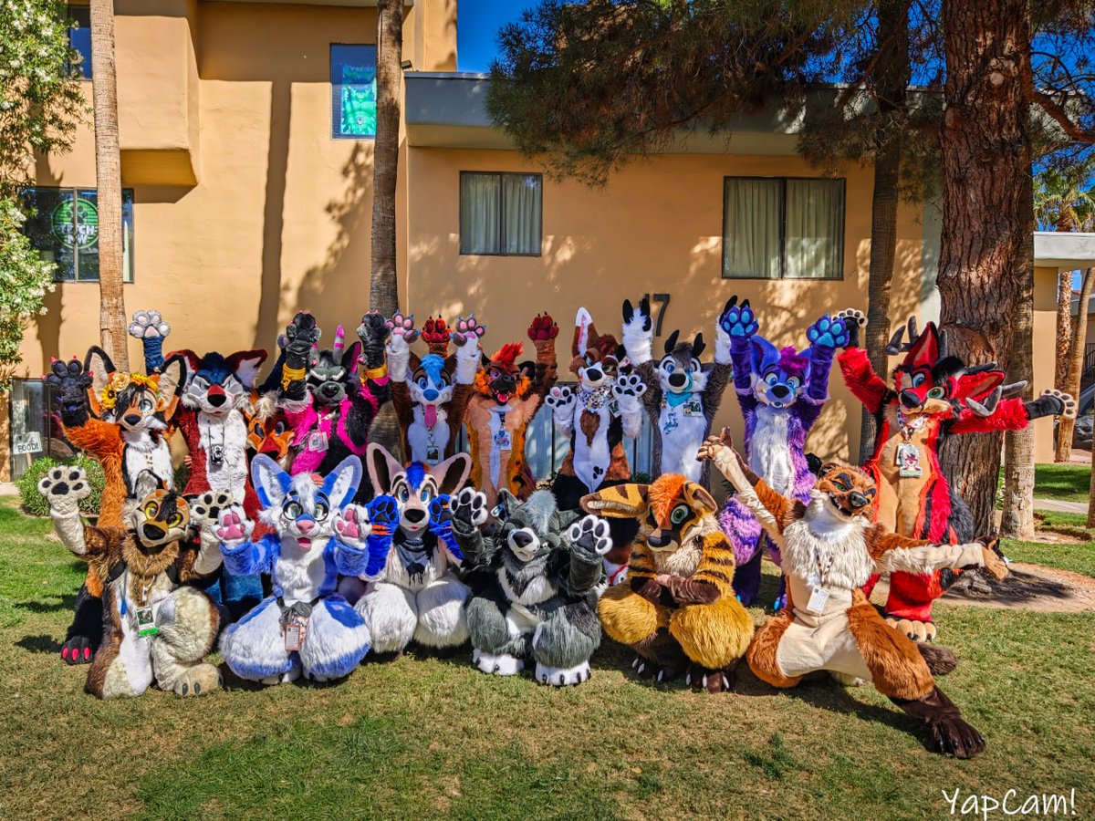 Eclipse🦌➡️LVFC/FWA/MP tweet media