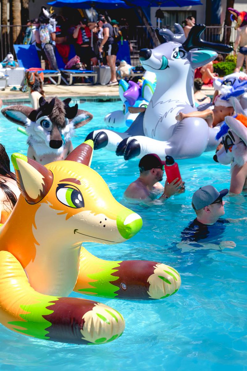 Eclipse🦌➡️LVFC/FWA/MP tweet media