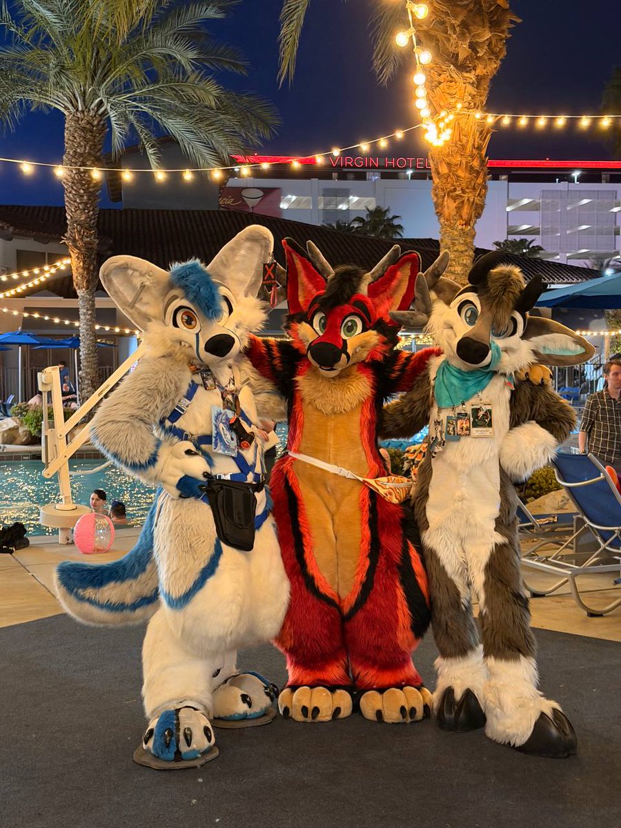 Eclipse🦌➡️LVFC/FWA/MP tweet media