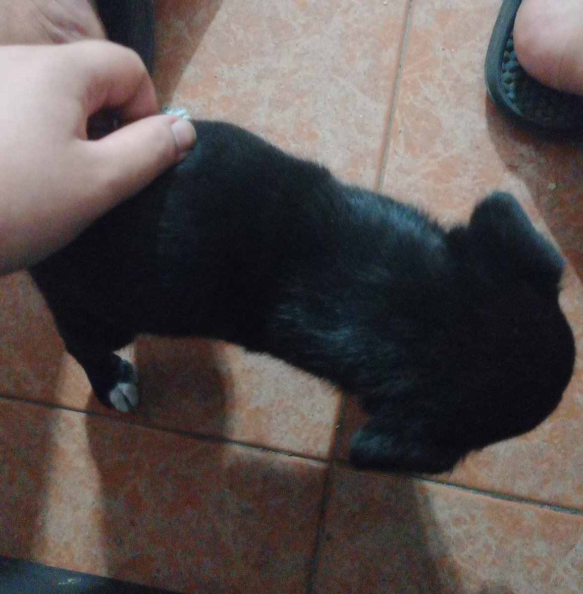 𝗗𝗿𝗮𝘄𝗣𝗮𝗻𝘁 ☆ (4/6) tweet media