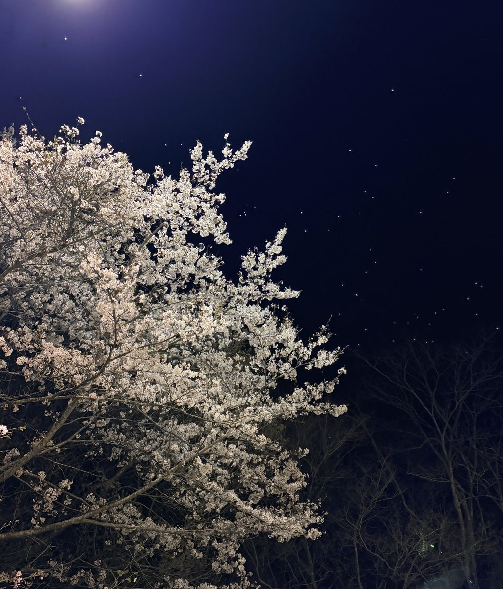 ˚˖𖦞𝚌𝚑𝚒𝚔𝚊 tweet media