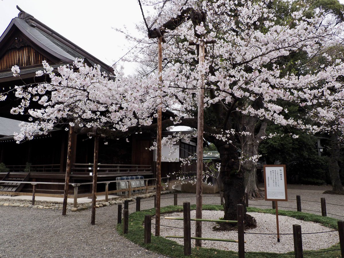 ロプロス tweet media