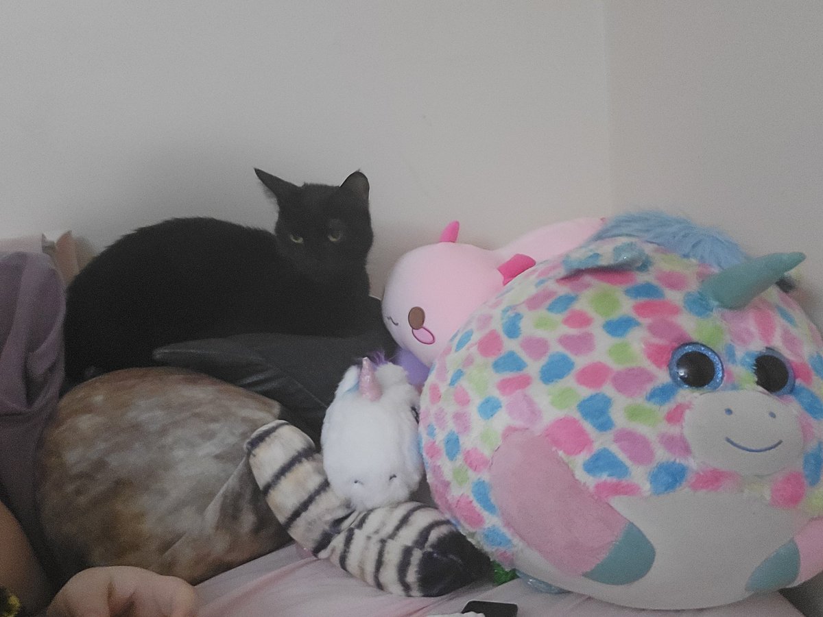 Hexually_Unavailable || Scary Cherries 🍒 tweet media