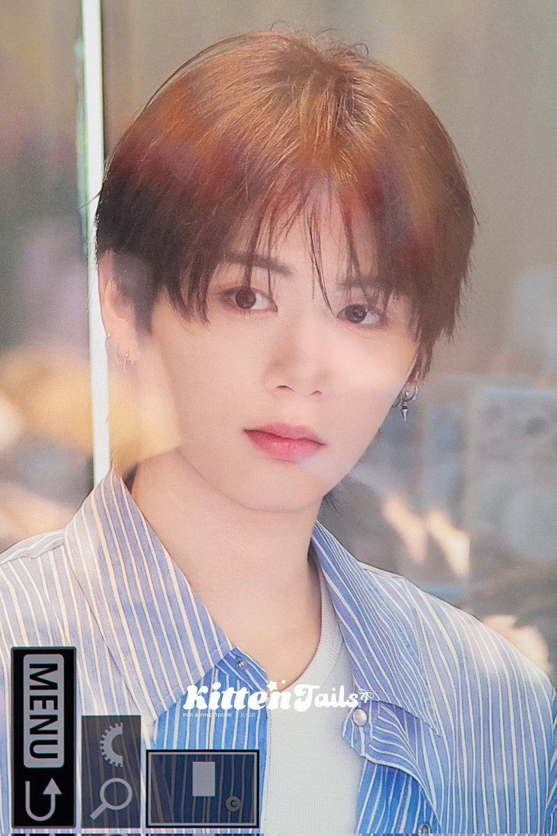 kittentails tweet media