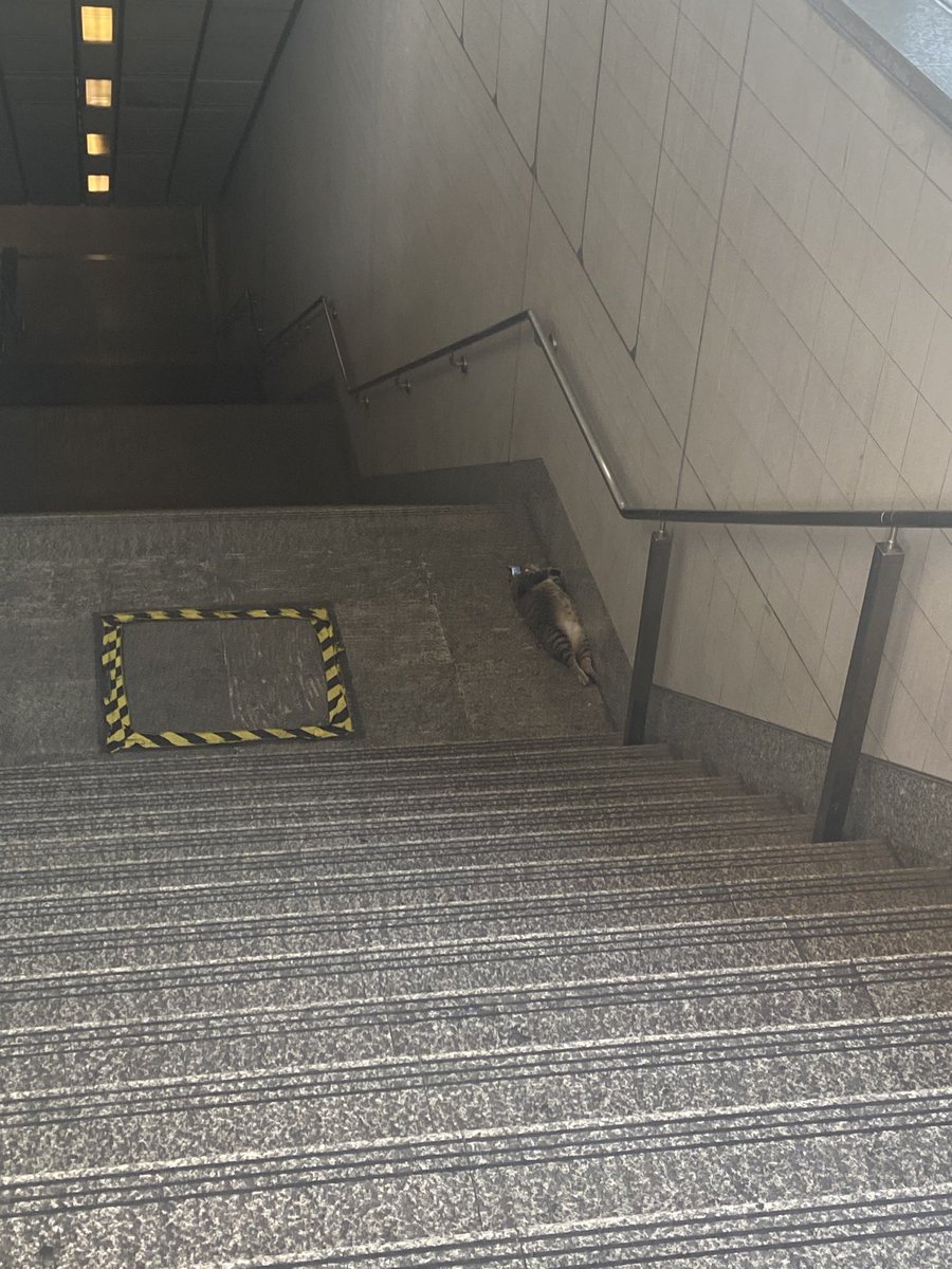 เฟินง่วงแต่ลงหลุม AR เหมือนเดิม tweet media