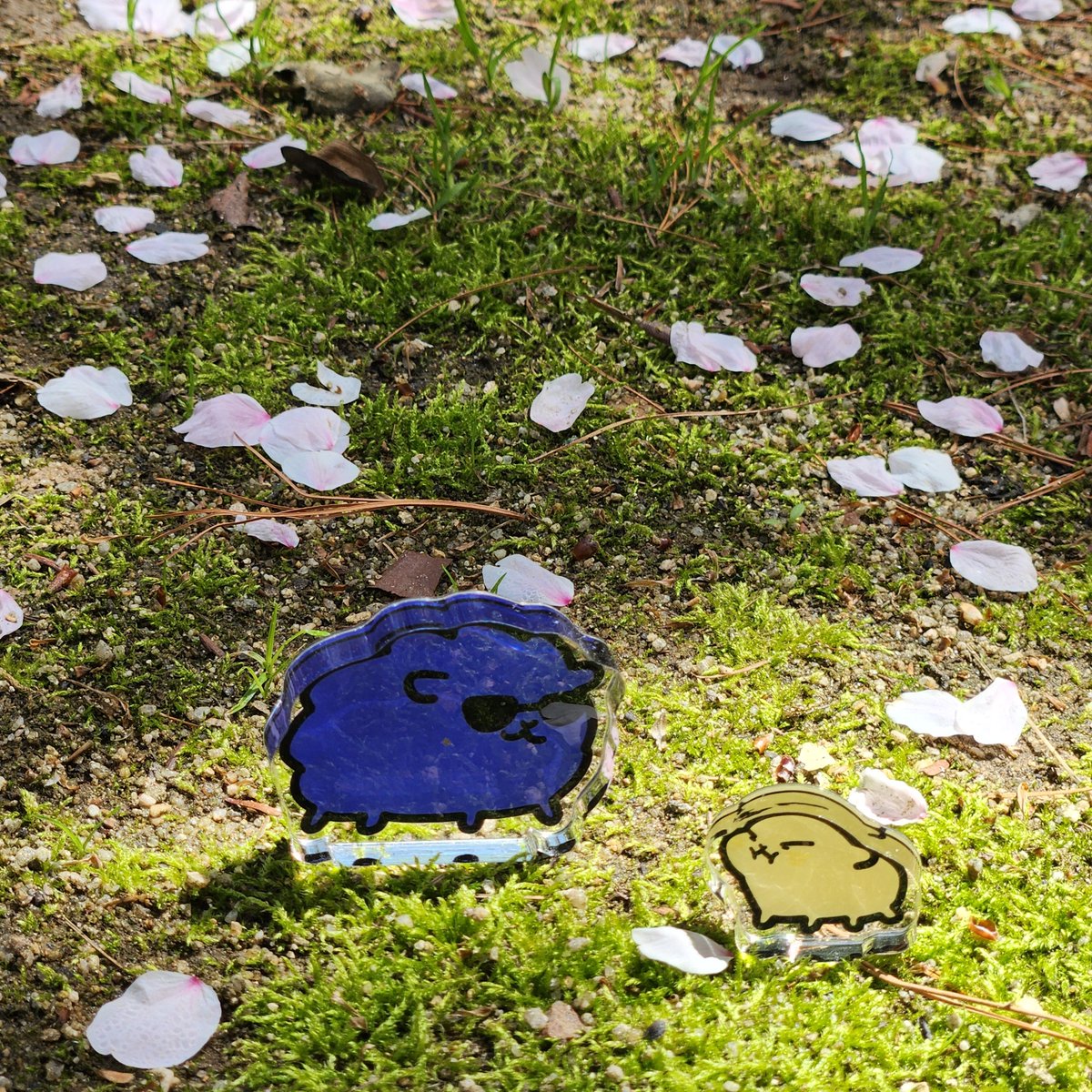 삶이고단 tweet media