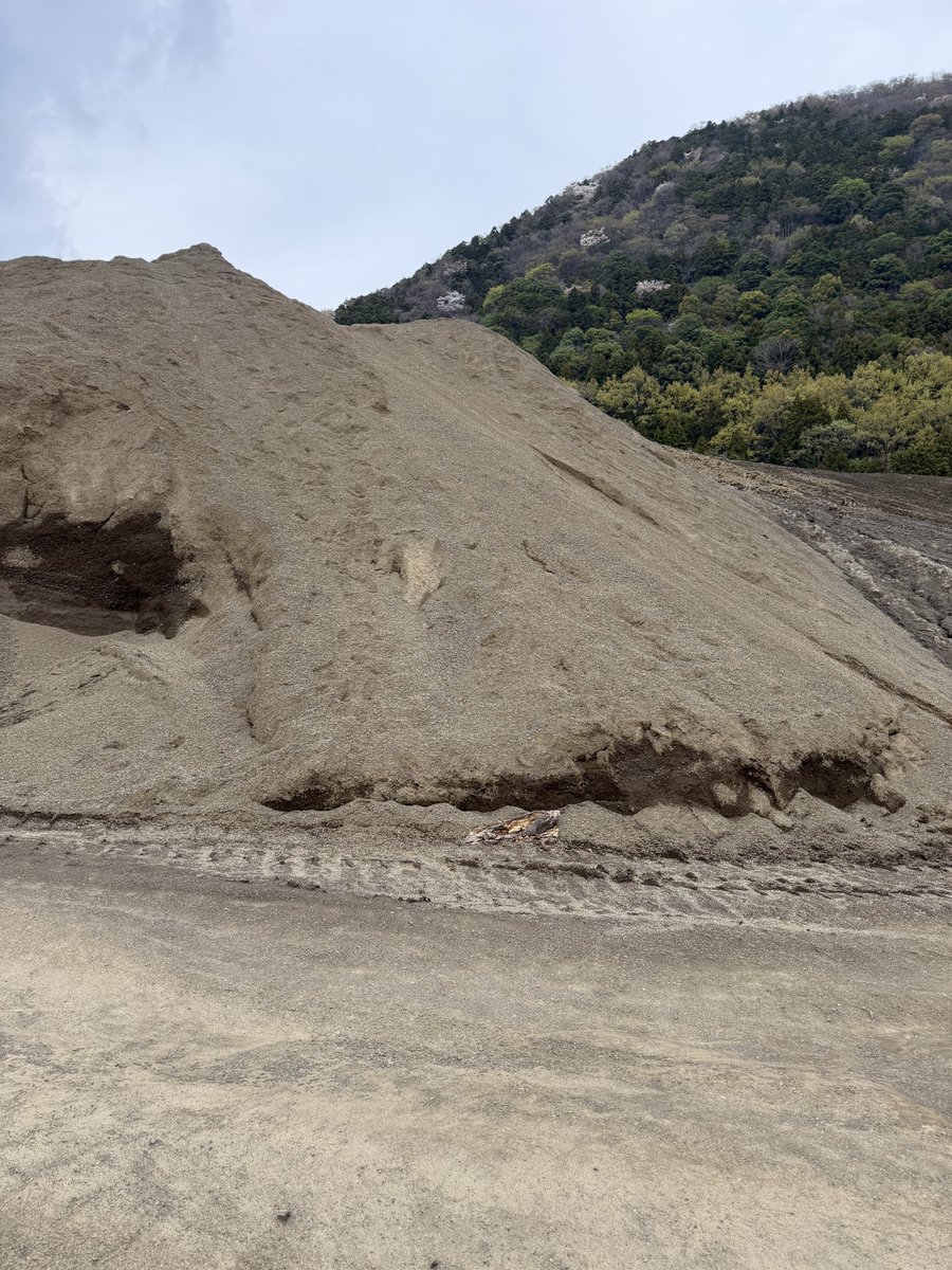 M.S.C.Hara /(株)原サイクル/(Motorrad Koshigaya) tweet media