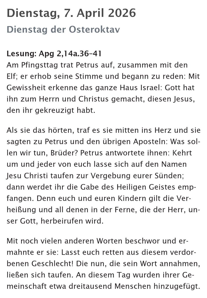 Bellfrell 🇦🇹 tweet media