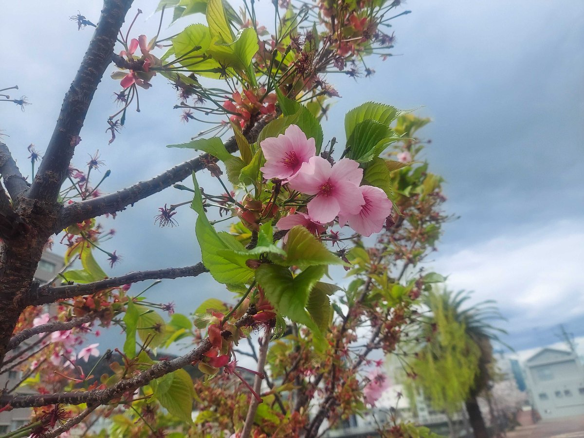 ufotable tweet media