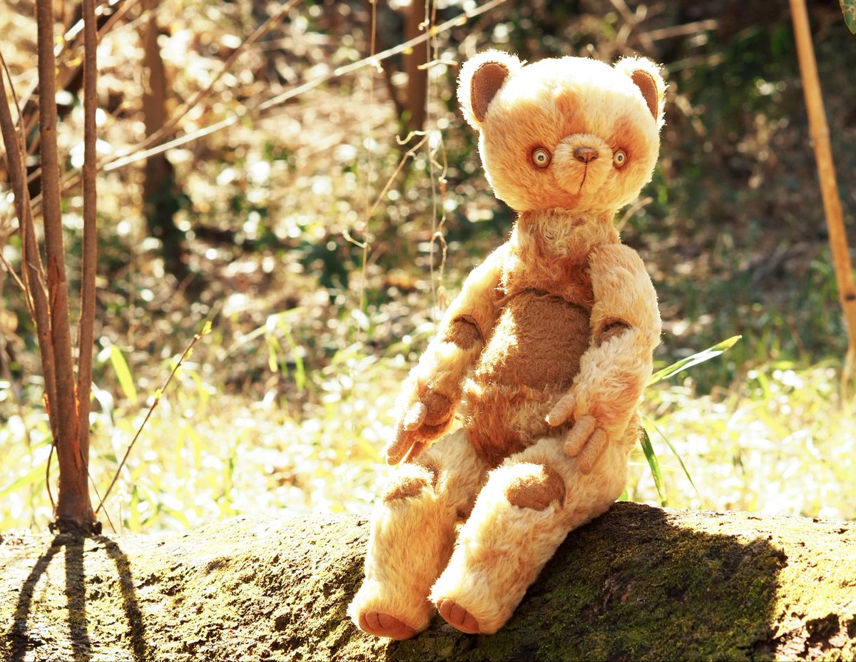 滝澤綾花 tweet media