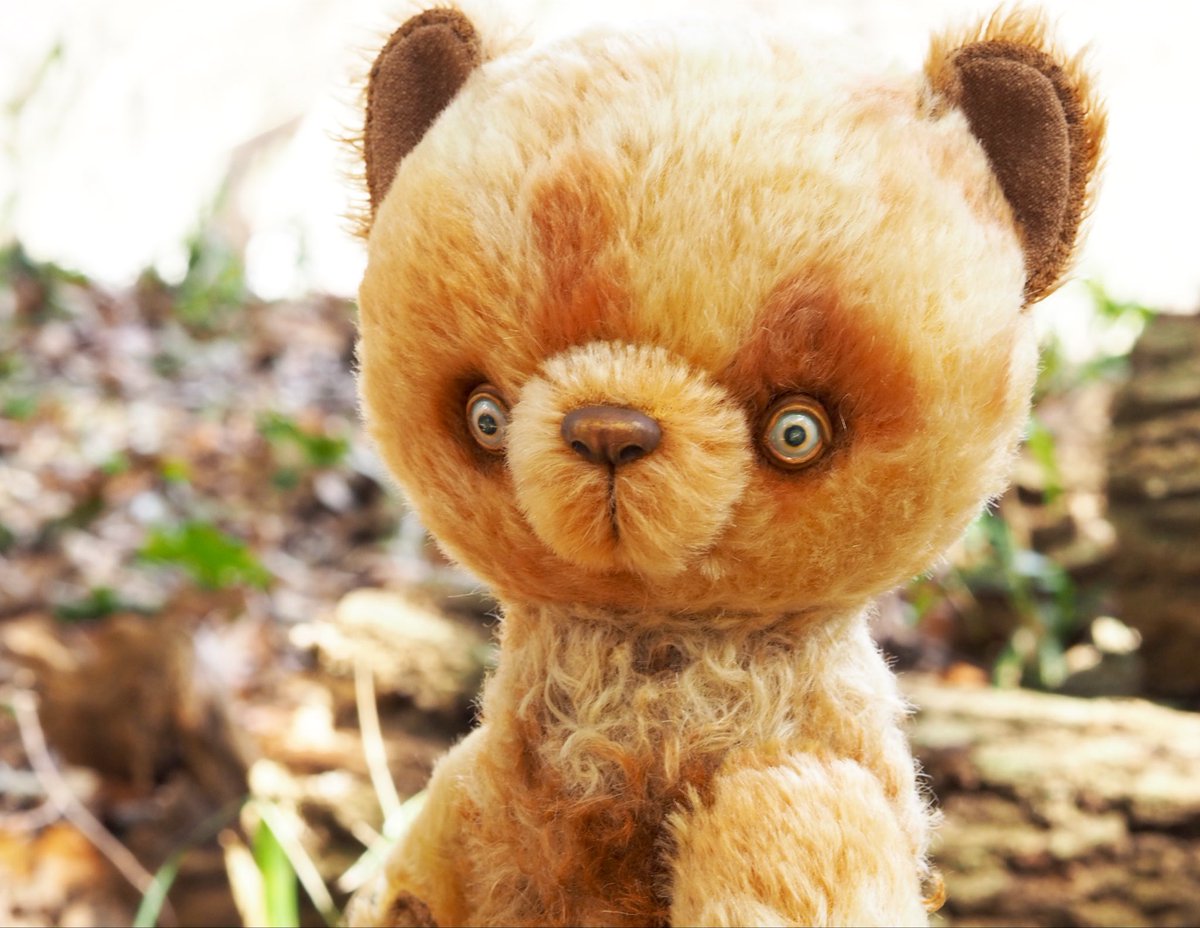 滝澤綾花 tweet media