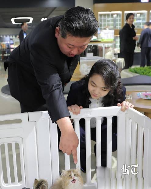 Orikron 🇵🇹 骆培思 tweet media