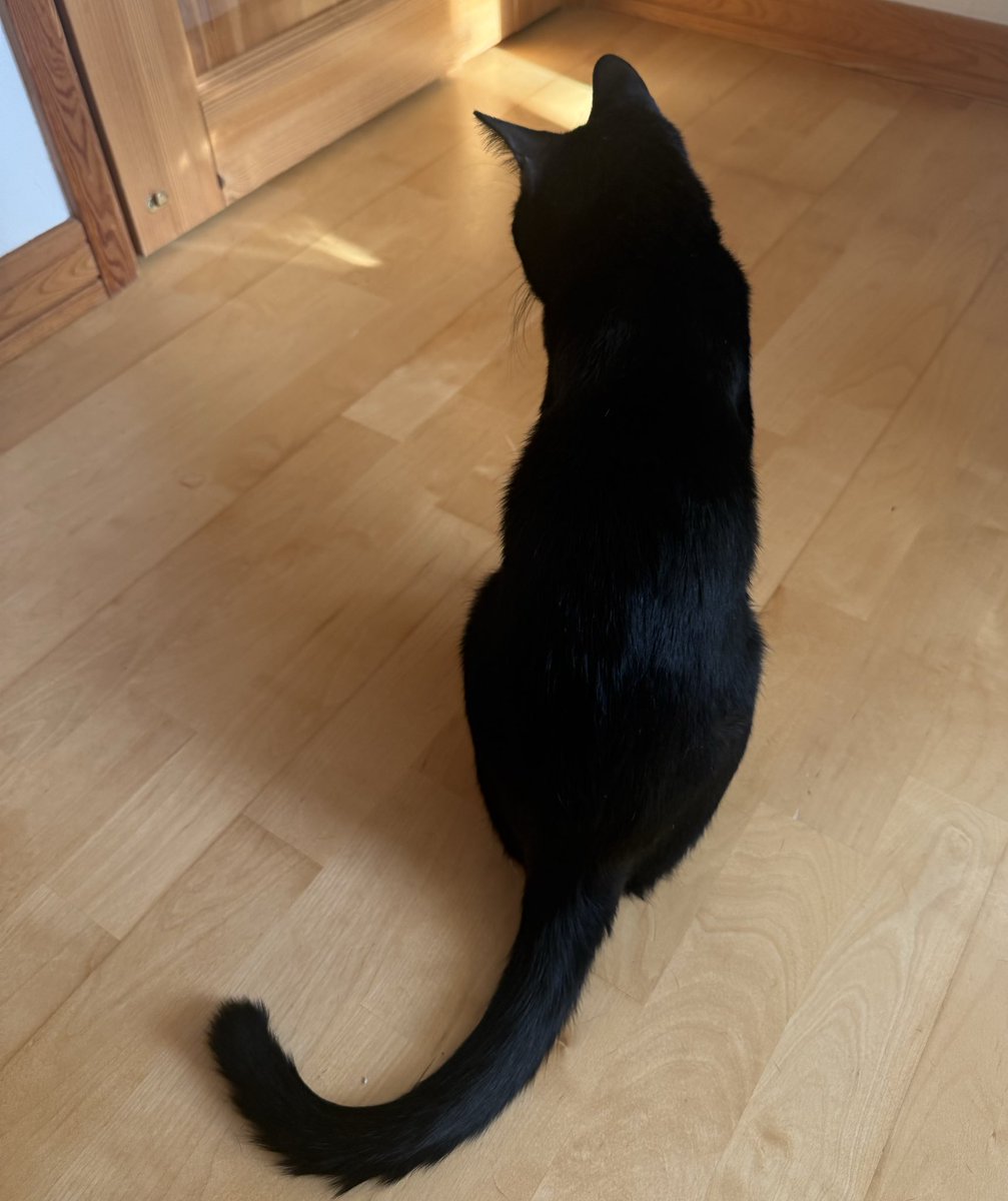 ちょこ tweet media