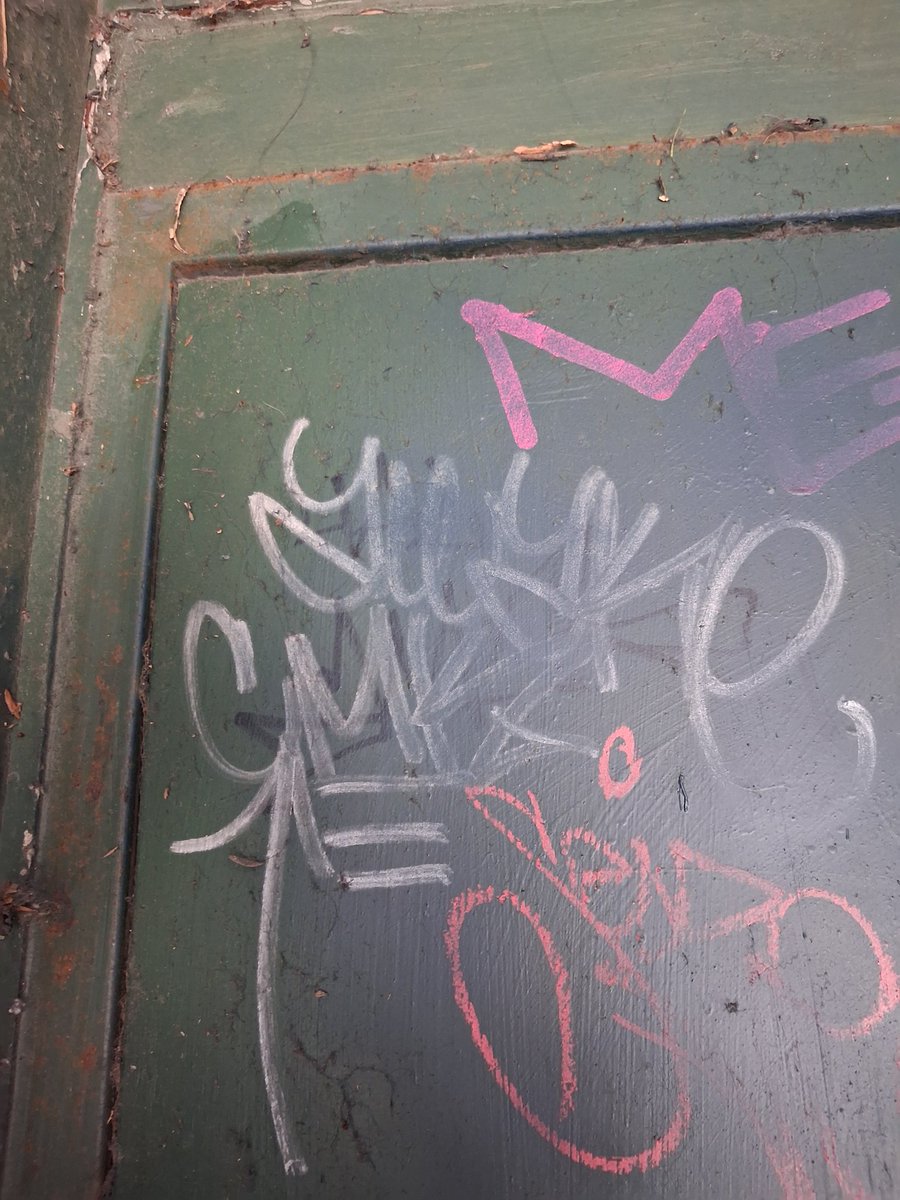 👊Koko tweet media