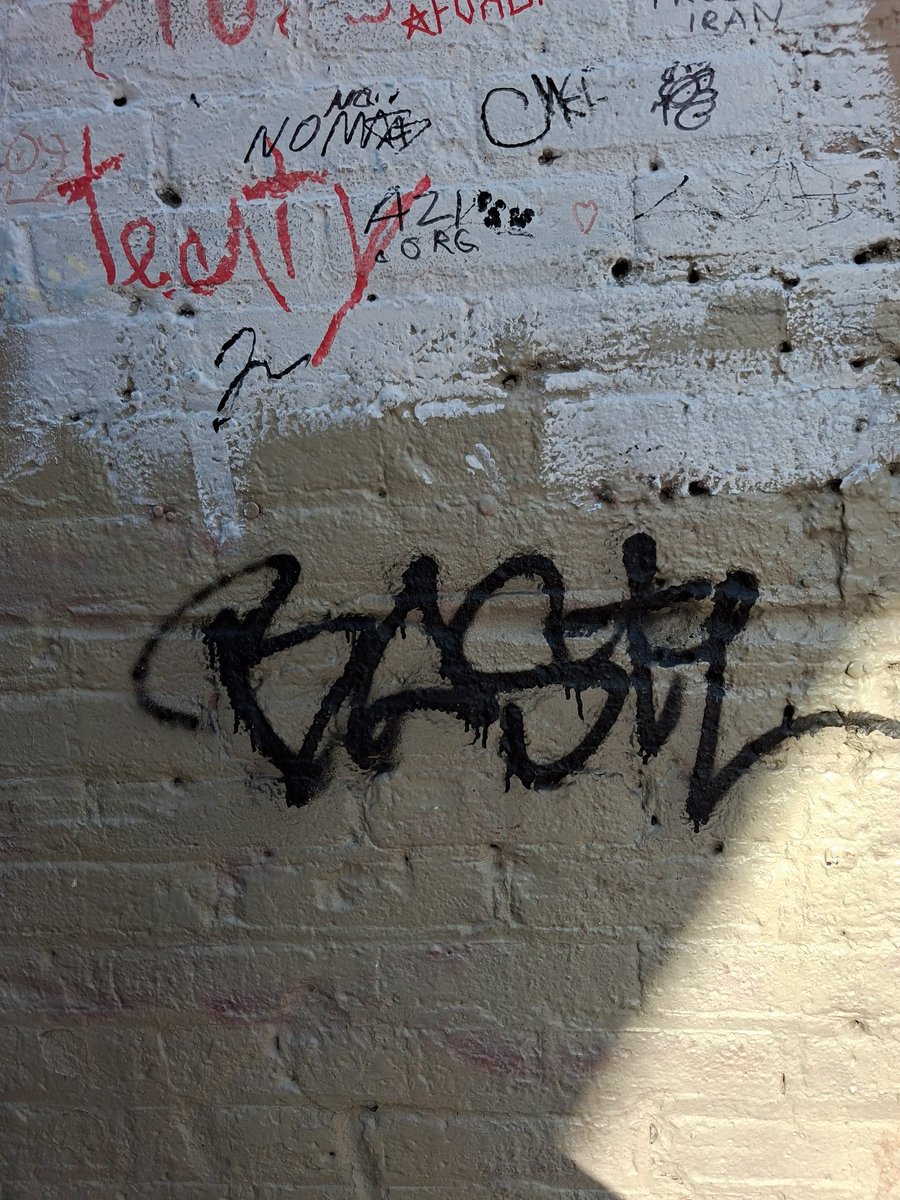 👊Koko tweet media