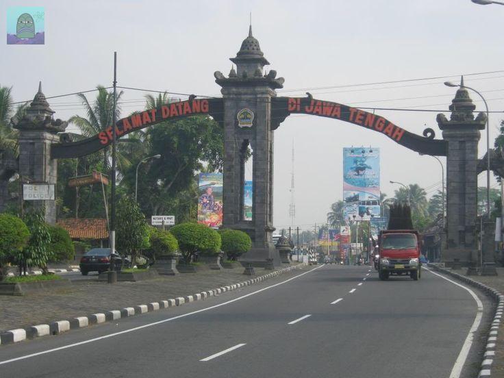 Tanyarl 💚 tweet media