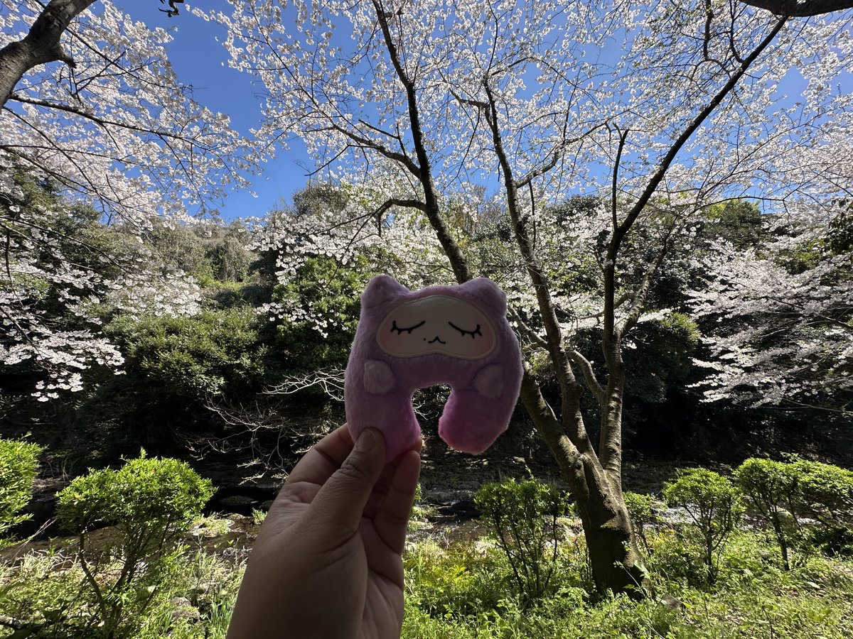 magic on the floor 🪩 tweet media