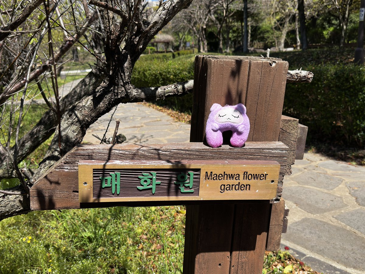 magic on the floor 🪩 tweet media