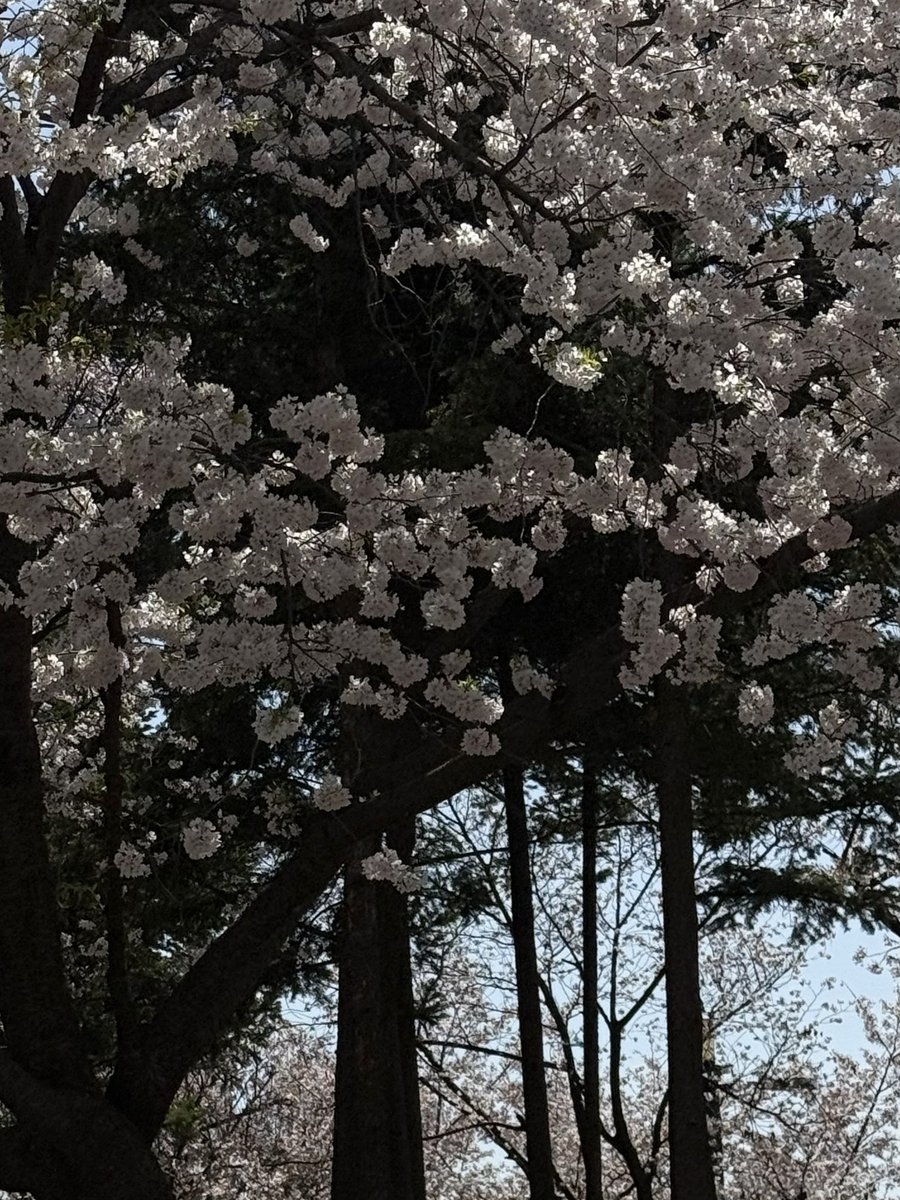 slow 진이 tweet media