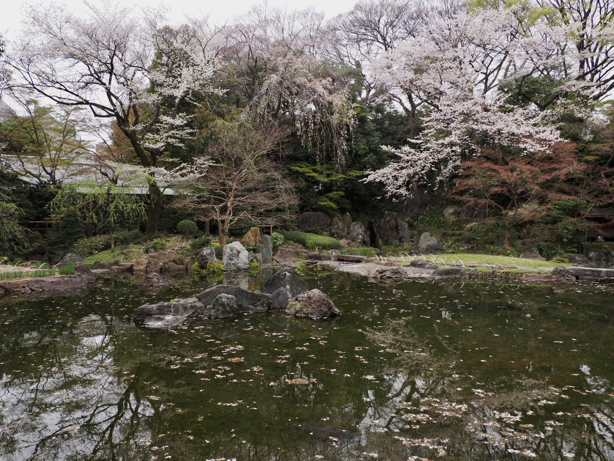 ロプロス tweet media