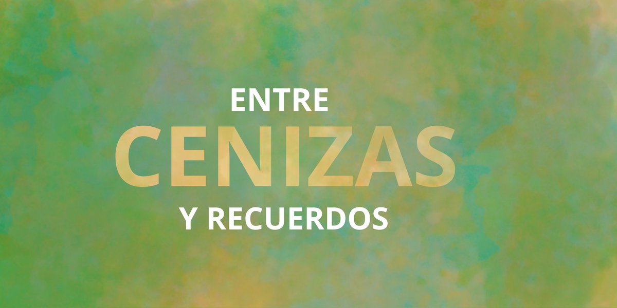 ✨Atte✨ tweet media