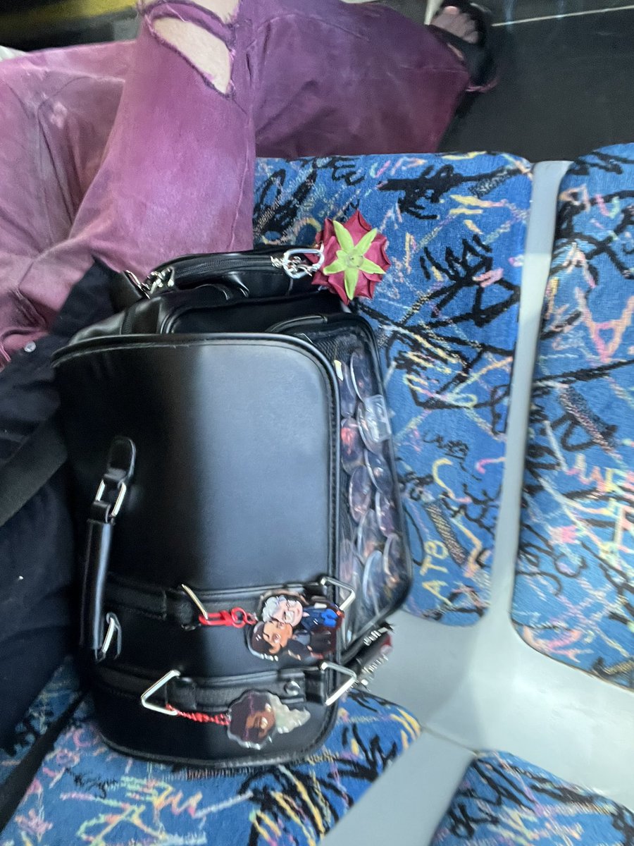 ๐ฝ๐๐๐๐ tweet media