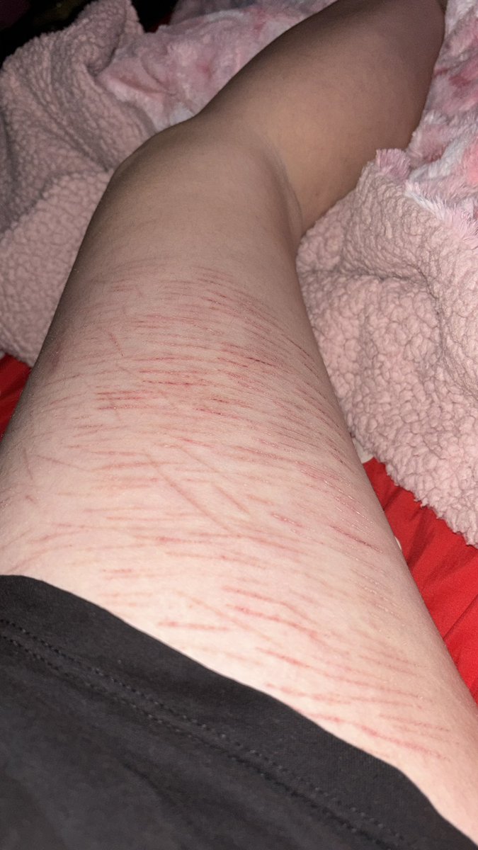 ᵢₙfₒ-cₕₐₙ ₒf ₛₕₑdₜwₜ tweet media