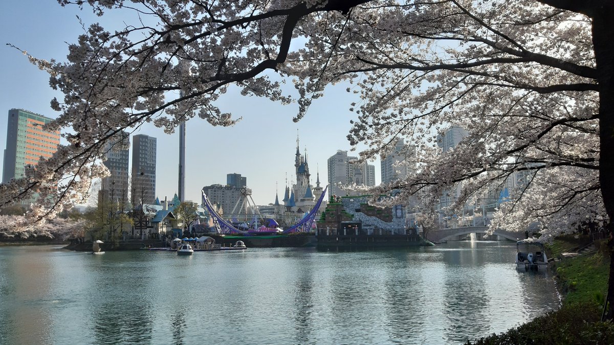 hamlit33 tweet media