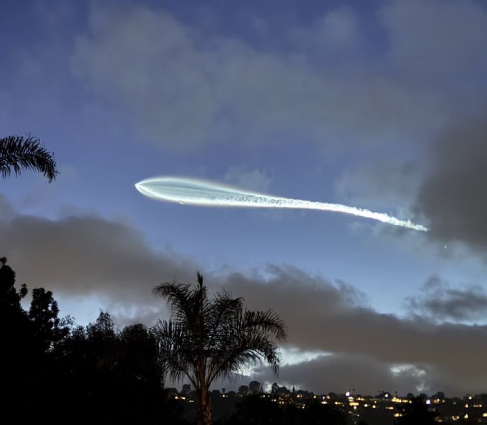 Marcela Peña tweet media