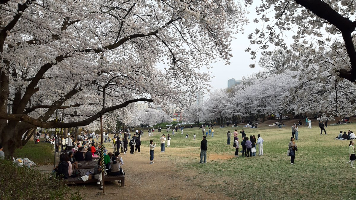 hamlit33 tweet media