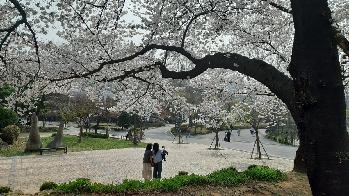 hamlit33 tweet media