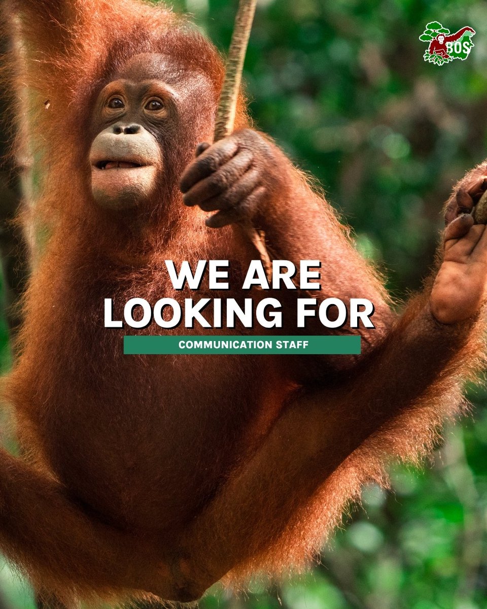 BOS Foundation tweet media