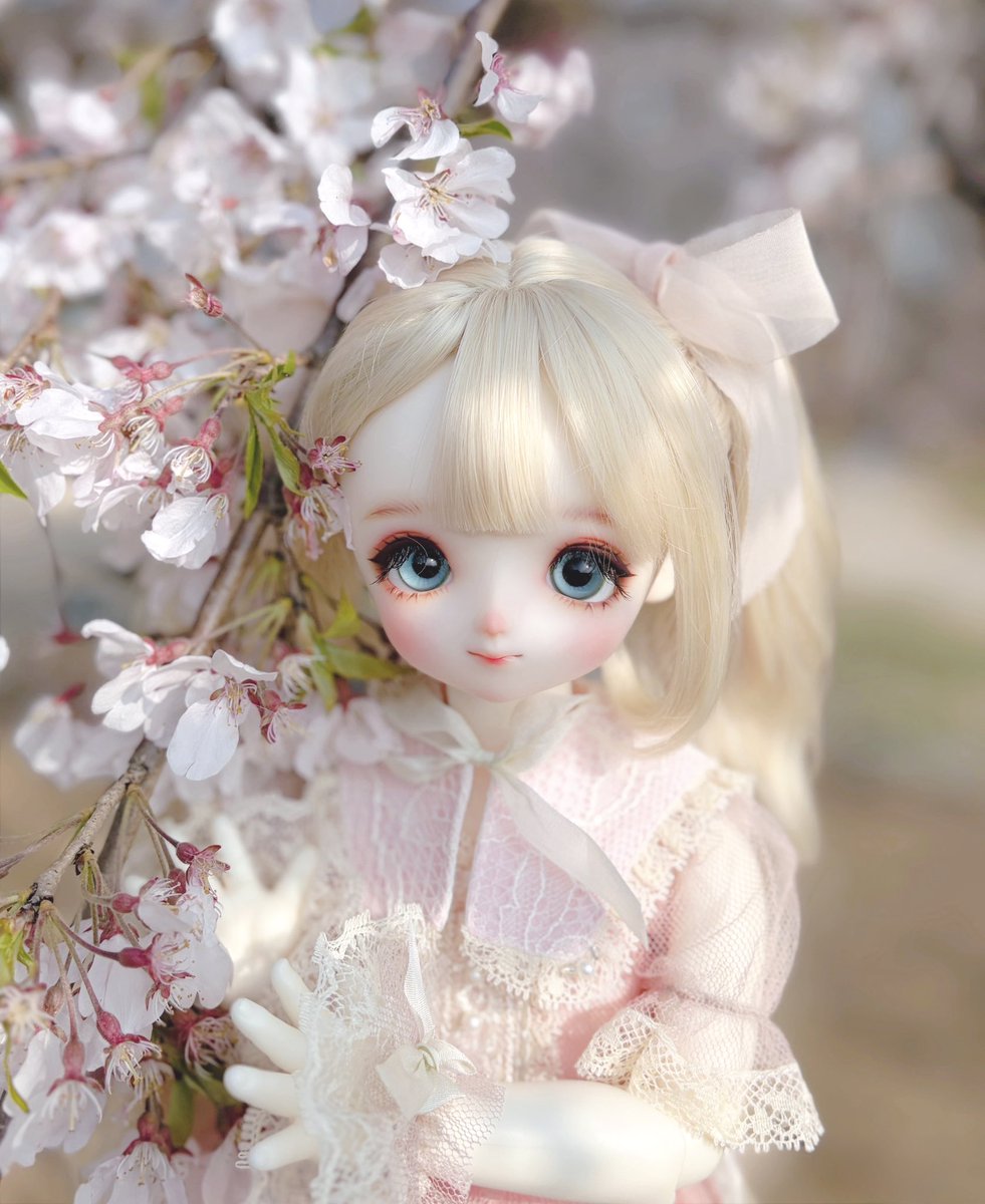 밀샤🧸 tweet media