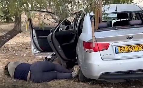 Spidly06 tweet media