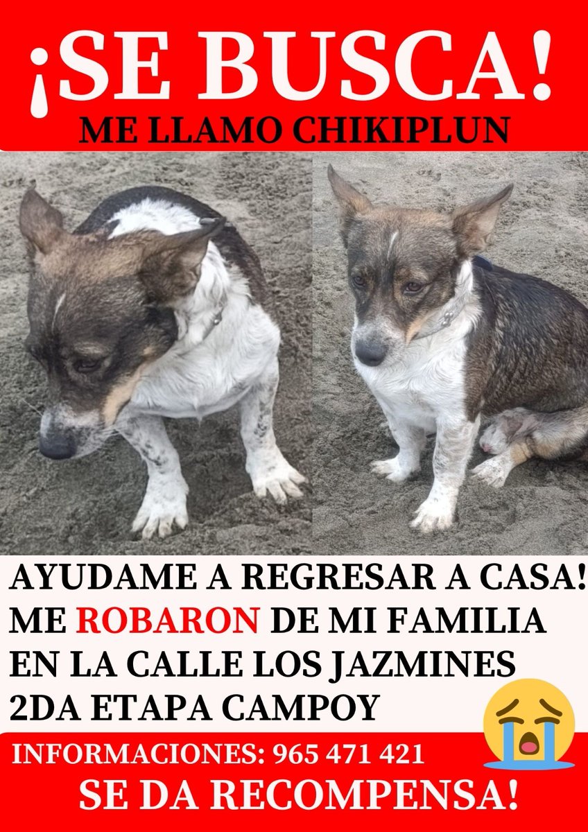 meOw_Capy tweet media