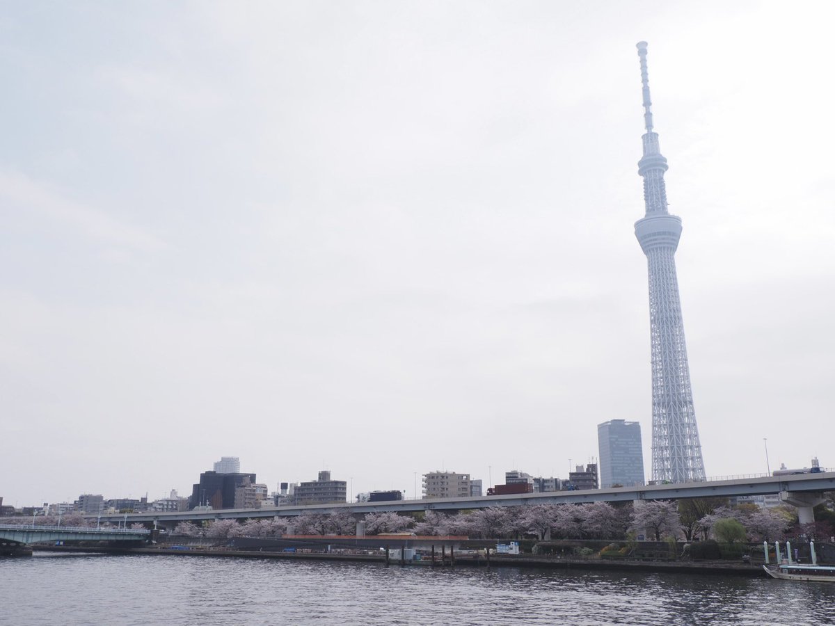 ロプロス tweet media