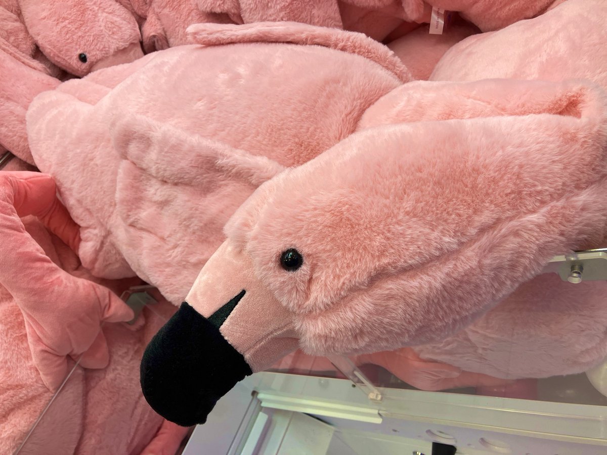 .＊ 居眠りフラミンゴ ＊. 🆕新景品入荷🆕 🦩爆でか！寝そべるフラミンゴぬいぐるみ 本日入荷しま
