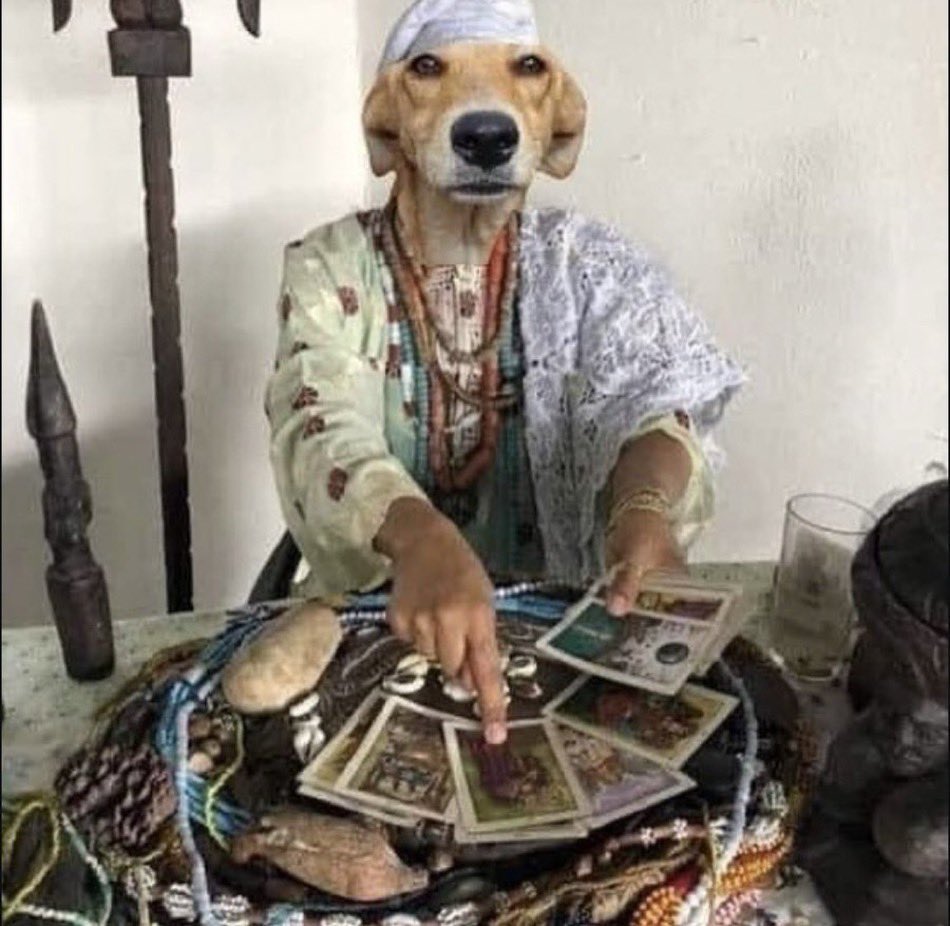 gyan pitbala da silva tweet media