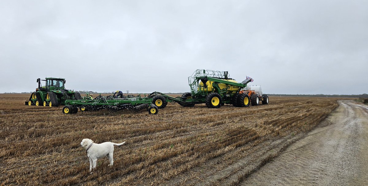 Paul Carmody tweet media