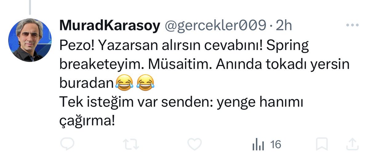Ayse Soeguet tweet media