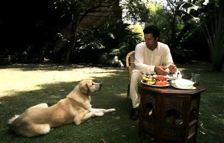 𝗕𝗥𝗜𝗦𝗞𝗘𝗧 tweet media