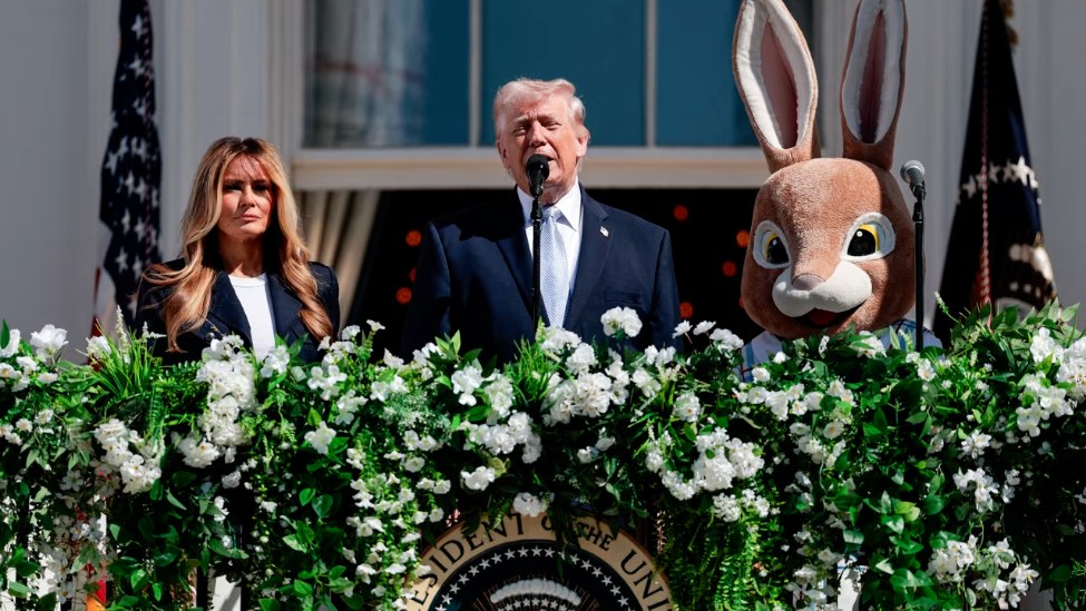 MacroPulseNews tweet media