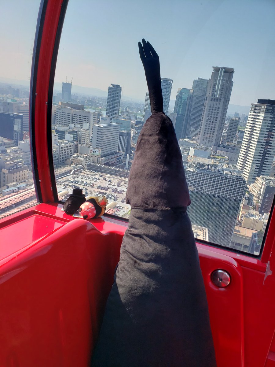 🎨🐋“エイ”なるもの tweet media