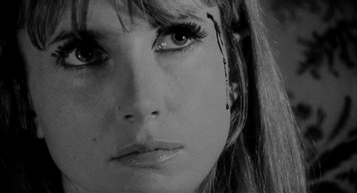 Av 🇵🇸🇾🇪 tweet media