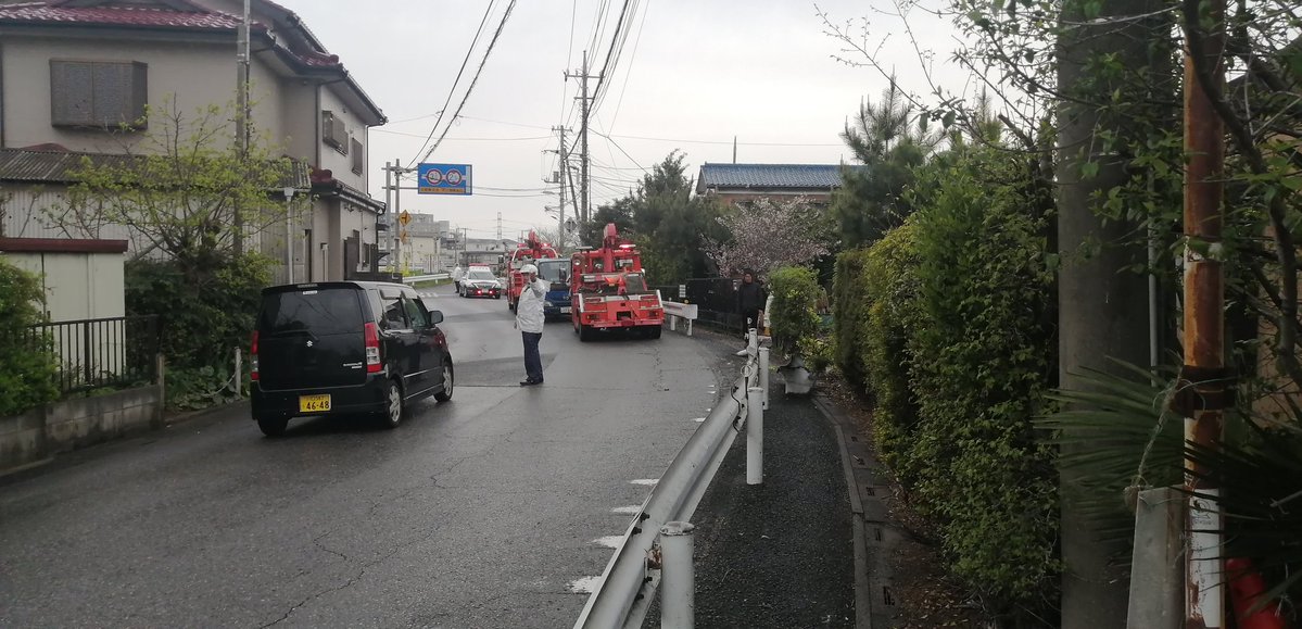 キジバト（鳩通信班） tweet media