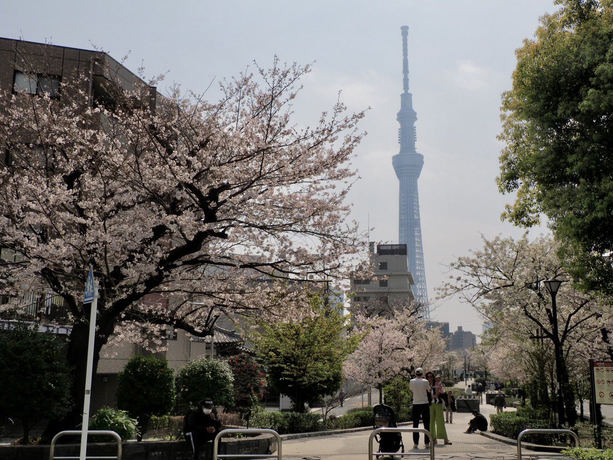 ロプロス tweet media